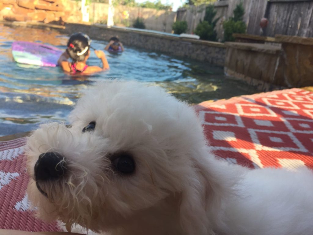 休斯顿买房亲身经历 连载二 我为什么要从加州搬到德州休斯顿 休斯顿买房网